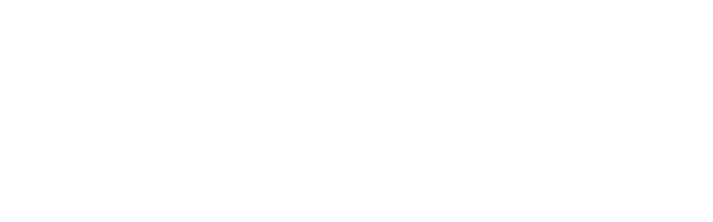 11 logo